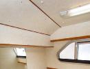 lb_c8_43167917.jpg